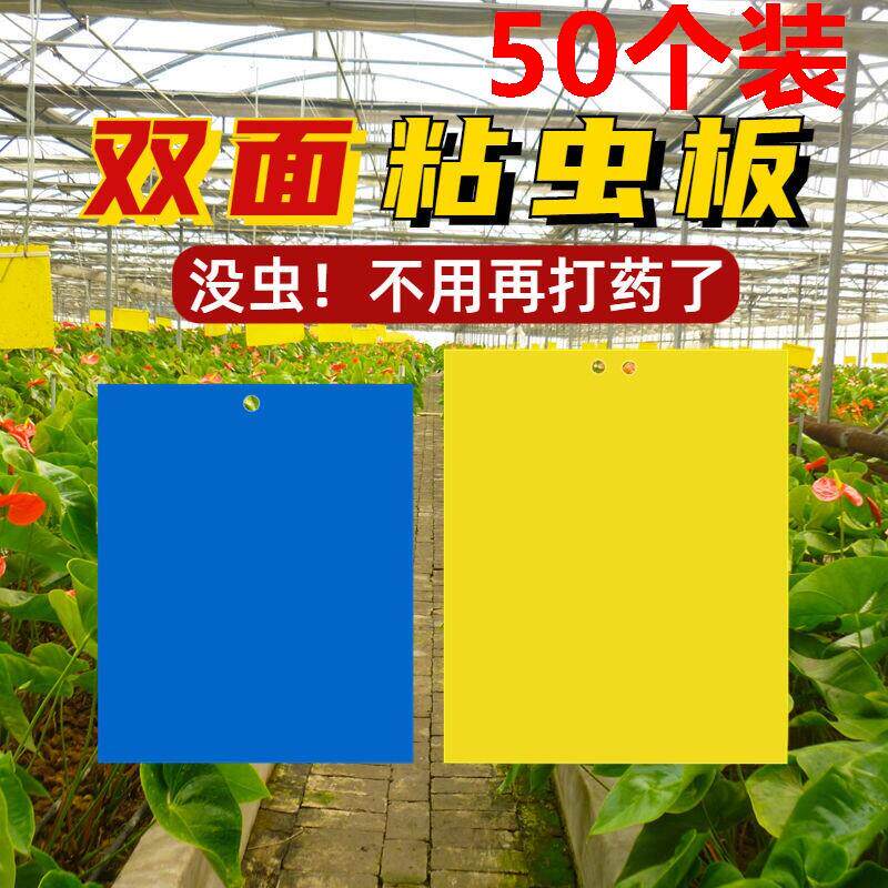 果树防虫贴黄板双面粘虫板贴纸强力灭杀小飞虫沾果蝇诱捕神器大棚