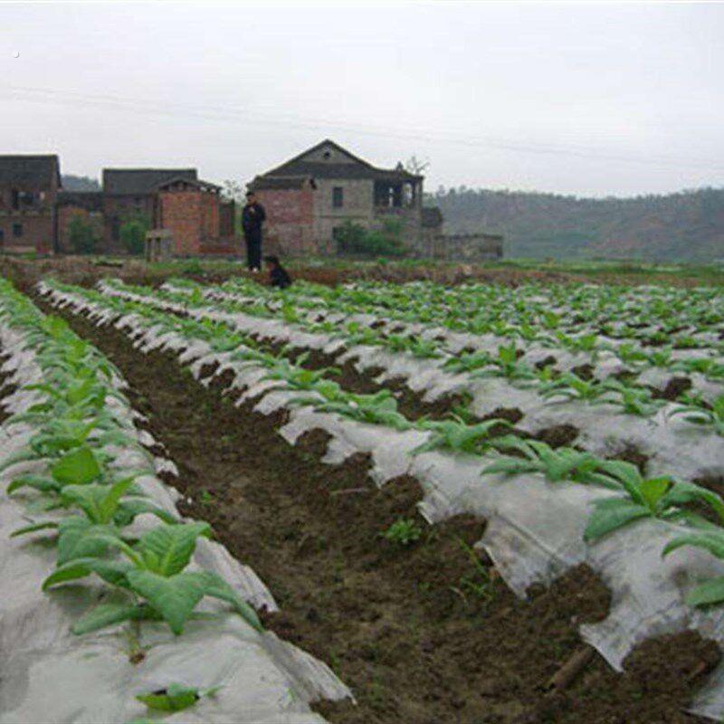 农用地膜薄膜纸白膜地摸塑料溥膜加厚种植白色透明种菜地膜一次性
