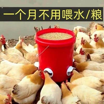 出远门喂鸡神器鸡鸭鹅自动喂料器家禽自动喂食器喂鸡器鸡料养鸡饲