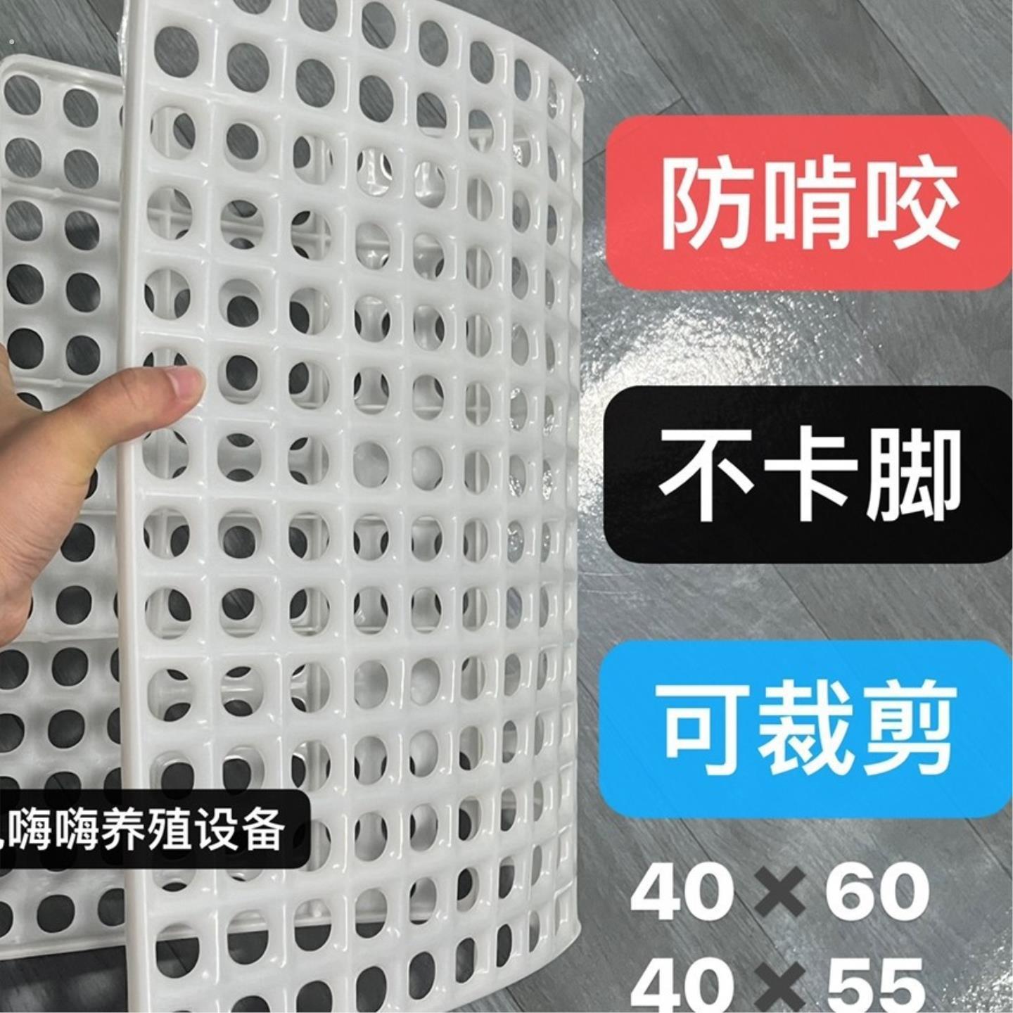 兔子脚垫防啃咬健爽兔笼底板兔窝垫宠物兔兔专用塑料脚垫子软大号