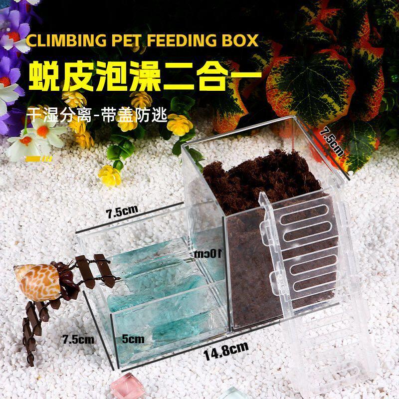 寄居蟹蜕皮缸内置迷你隔离桶防打扰爬宠助脱皮亚克力箱养蟹盒
