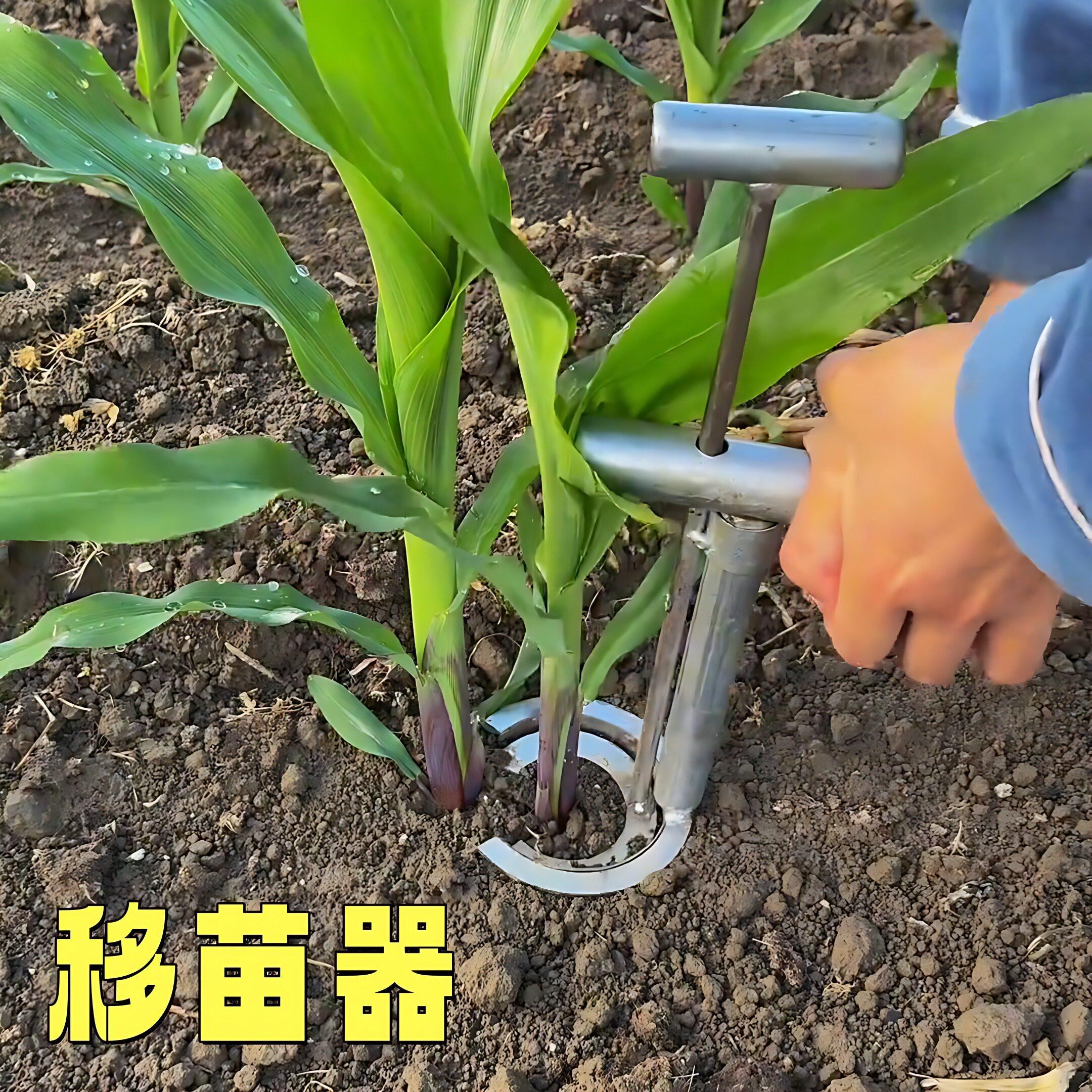移苗栽苗器不锈钢移栽神器种菜打孔器秧苗泥土打洞器玉米起苗工具