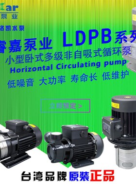 LDPB2-30卧式多级泵LDPB2H-40 4V-30洛凯洛锐高扬程立式离心泵