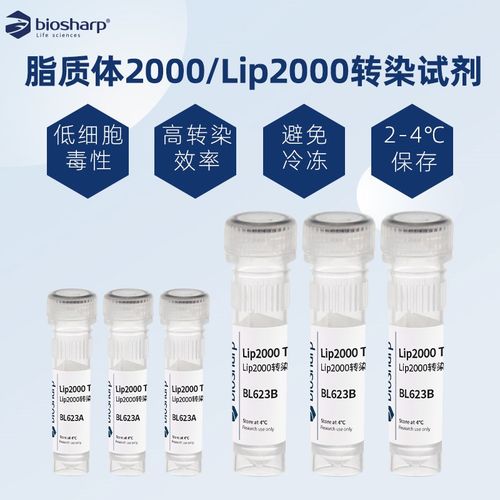 Biosharp 白鲨 Lip2000转染试剂 BL623A BL623B 0.5ml/1ml