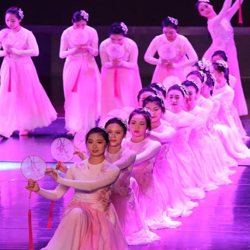 芙蕖古典舞蹈服演出服长裙女飘逸中国舞开场歌伴舞服装连衣裙套装