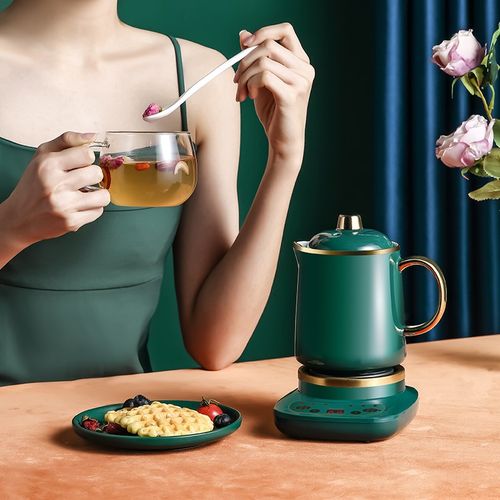 养生壶办公室迷你小型煮茶壶mini全自动煮茶器家用多功能全玻璃底