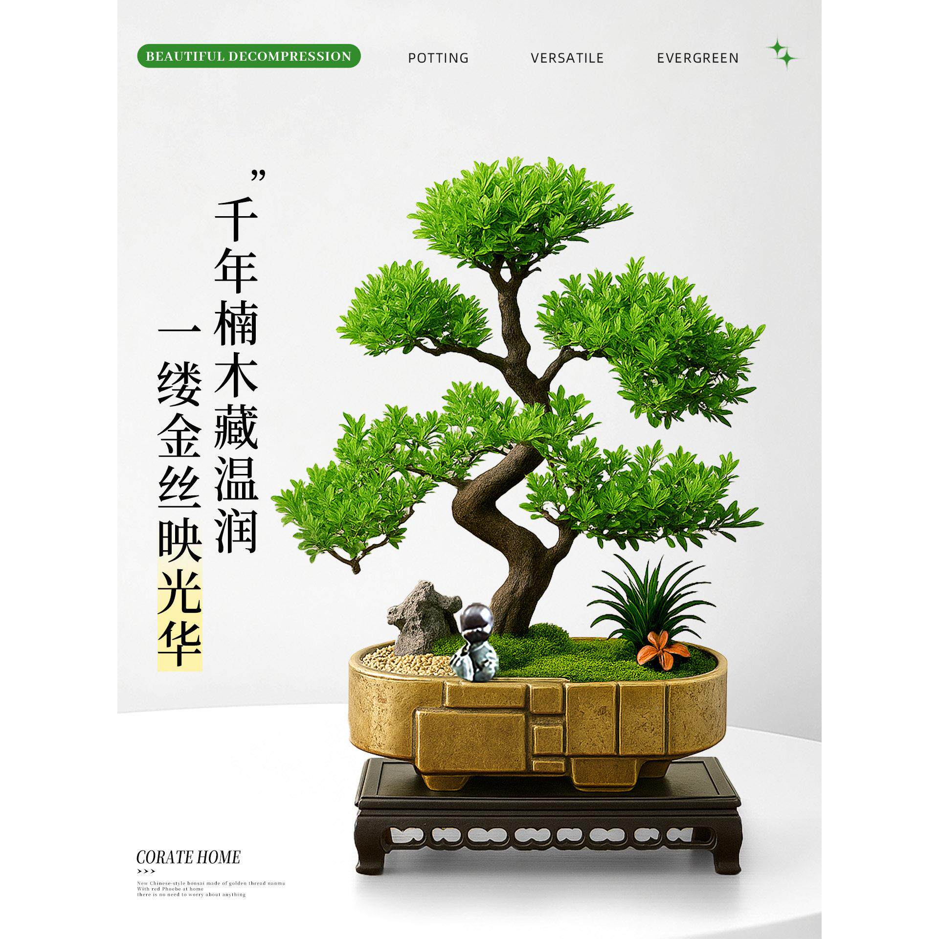 茶金丝楠赤木楠桌卉室内盆景栽绿植物花中式541老桩树苗四季造景