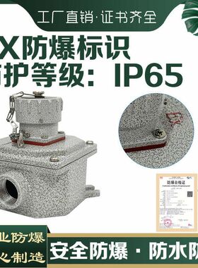 防爆插头插座380V三相四极五芯大功率无火花25A32A友泰插销明盒装