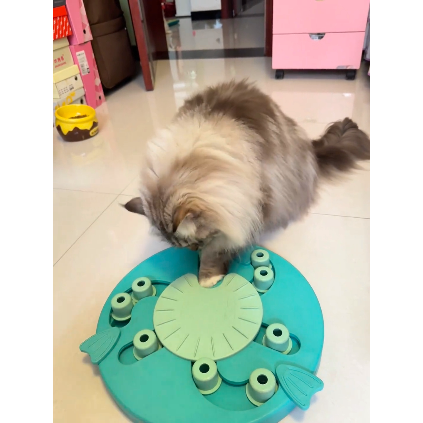 酷极益智九连环玩具猫咪聪明猫布偶猫冻干零食漏食玩具藏食训练器
