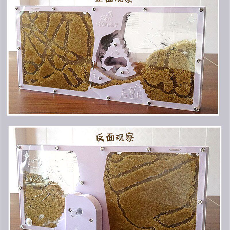 学生专观察用养蚂蚁城堡沙土蚁巢蚂蚁工坊家园庄园别墅科普教学