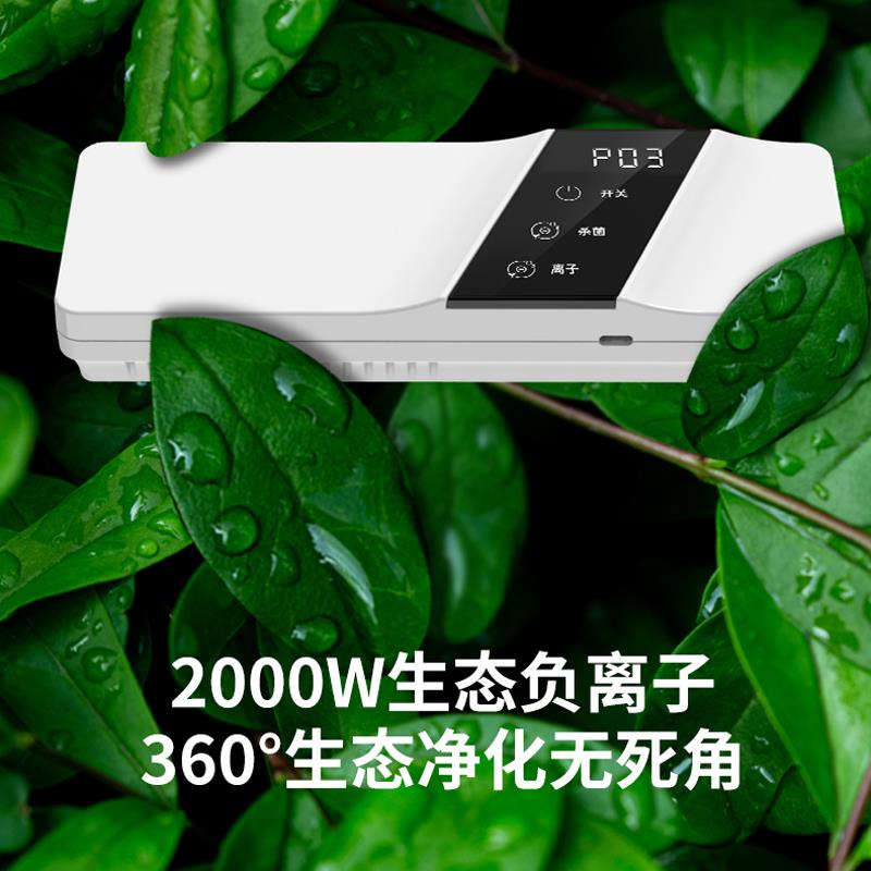 臭氧空气消毒除味机家用除甲醛净化器 高效级无耗材设备 卫生间适
