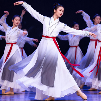 2026新款侠女风古典舞演出服国风飘逸演出表演舞蹈服汉服舞蹈成人
