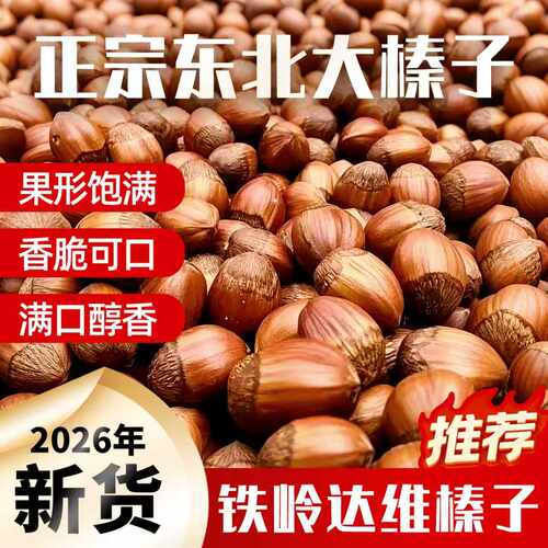 大榛子东北铁岭开原特产新鲜原味糖炒无添加贞子坚果2026年新货