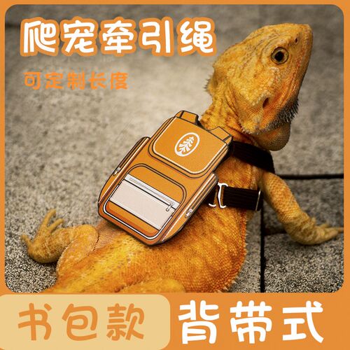 蜥蜴外出绳鬃狮蜥蜴牵引绳爬宠外出用品蓝舌胸背异宠绳睫角守宫