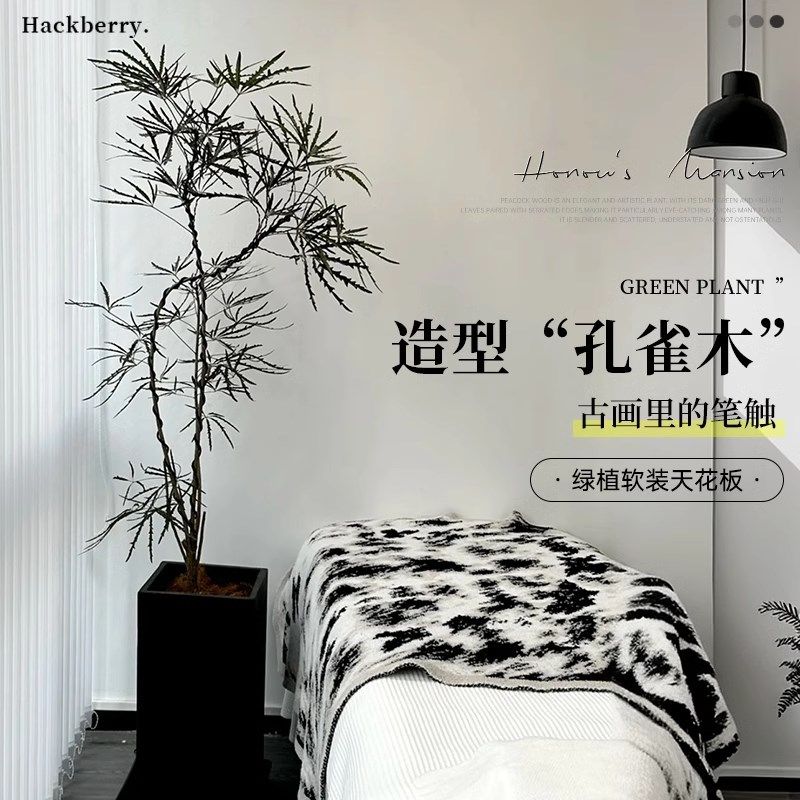 孔雀木绿植大型盆栽办公室内大花盆客厅好养网红落地大号植物真树