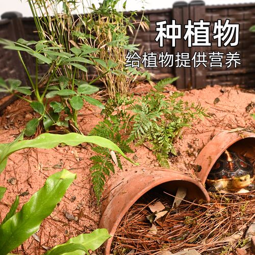 黄缘龟红土垫材安缘天然红泥乌龟箱造景专用黄土红沙种植龟缸用品