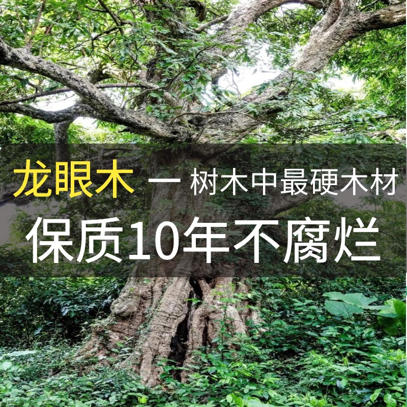 乌龟免煮龙眼木晒背台爬台天然沉木调节水质鱼缸造景摆件生态缸图片