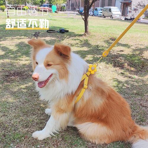 新款狗狗牵引绳中小型犬胸背带绳狗链狗绳子溜猫绳宠物外出牵引绳