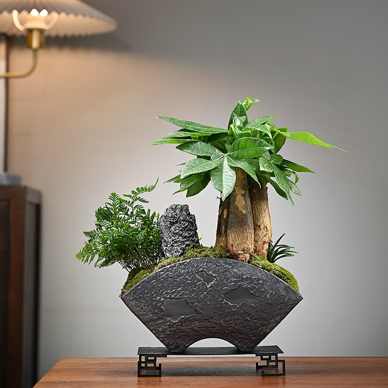 发财树绿植盆栽办公室装饰客厅文艺玄关送礼盆景造景创意桌面摆件