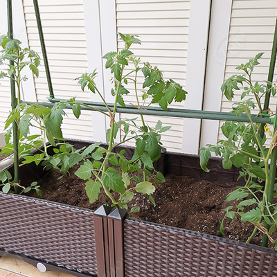 植物爬架 爬藤架 丝瓜架豆角架子黄瓜瓜架家用户外阳台花月季绿萝