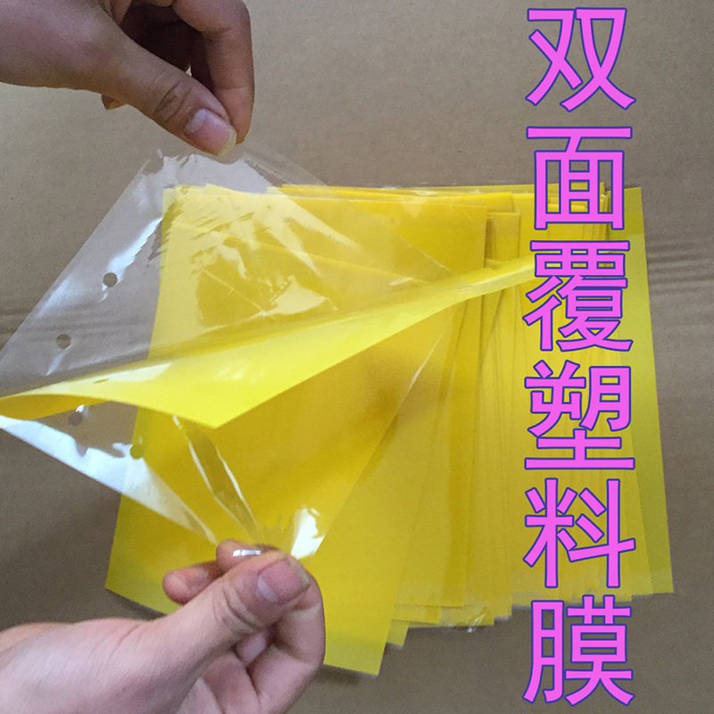 黄色粘虫板黄板双面诱虫板包邮飞虫粘虫蓝板黏虫板果园大棚防虫板