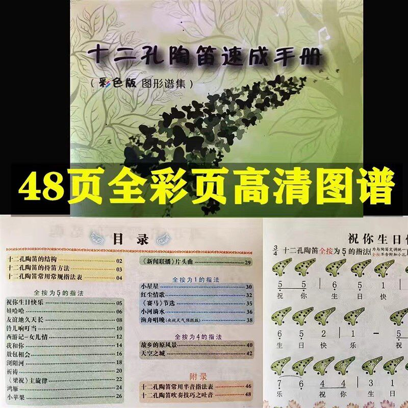 6孔12孔陶笛初学手册说明图形简谱配件乐谱