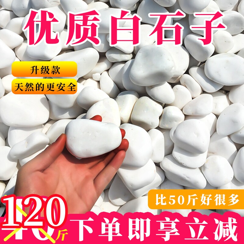 120斤白色石子小鹅卵石庭院铺路铺地装饰石头阳台花园白石子造景