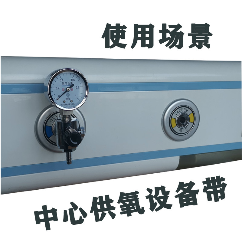 氧气压力表测压表中心供氧气体终端供气表国标德标英标插头表阀
