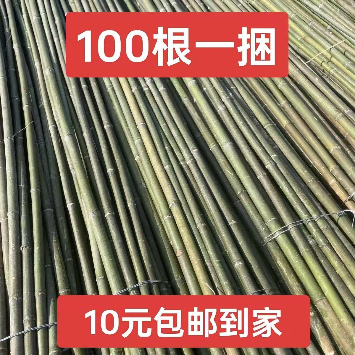 竹竿竹竿菜园搭架细竹竿子搭架杆豆角架黄瓜架种菜架竹杆旗竿