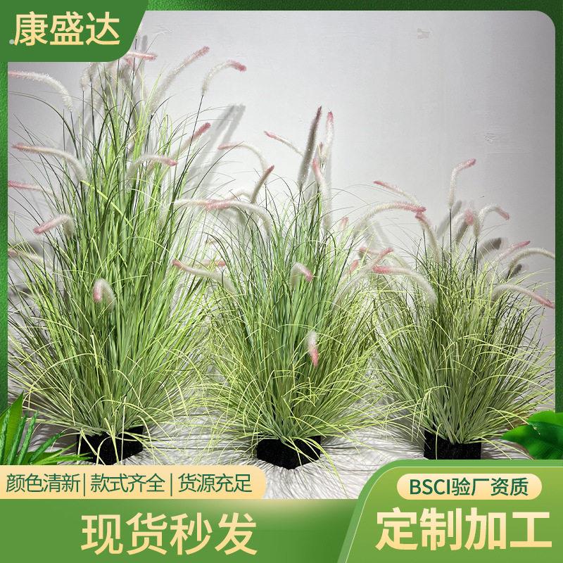 彷真芦苇狗尾巴草洋葱草室内家居送礼绿植摆件酒店婚庆多规格盆栽