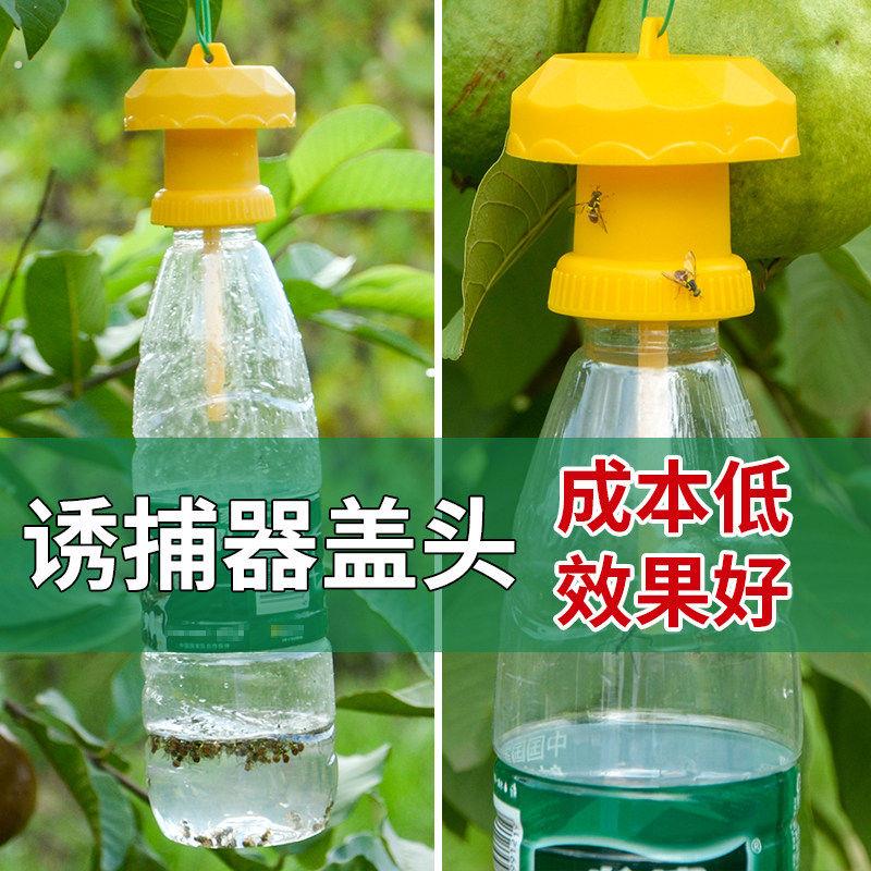 果蝇诱捕器简易果蝇诱捕器盖头果园瓜地桔小实蝇针锋瓜蝇诱引捕捉