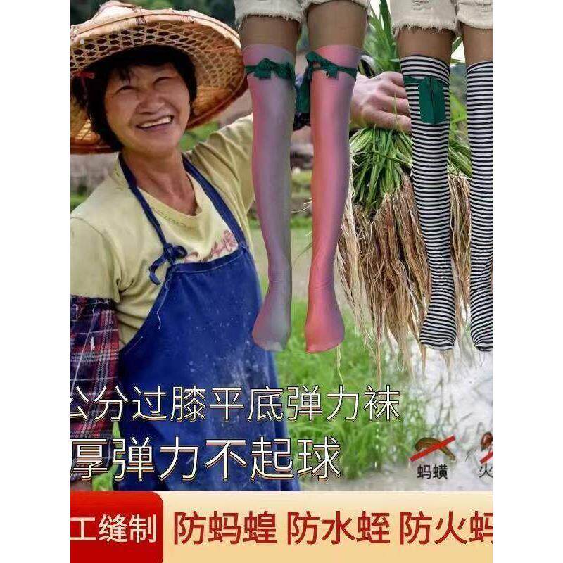 下田插秧袜子种田男女通用防蚂蝗防水蛭防晒过膝高弹力农用超长袜