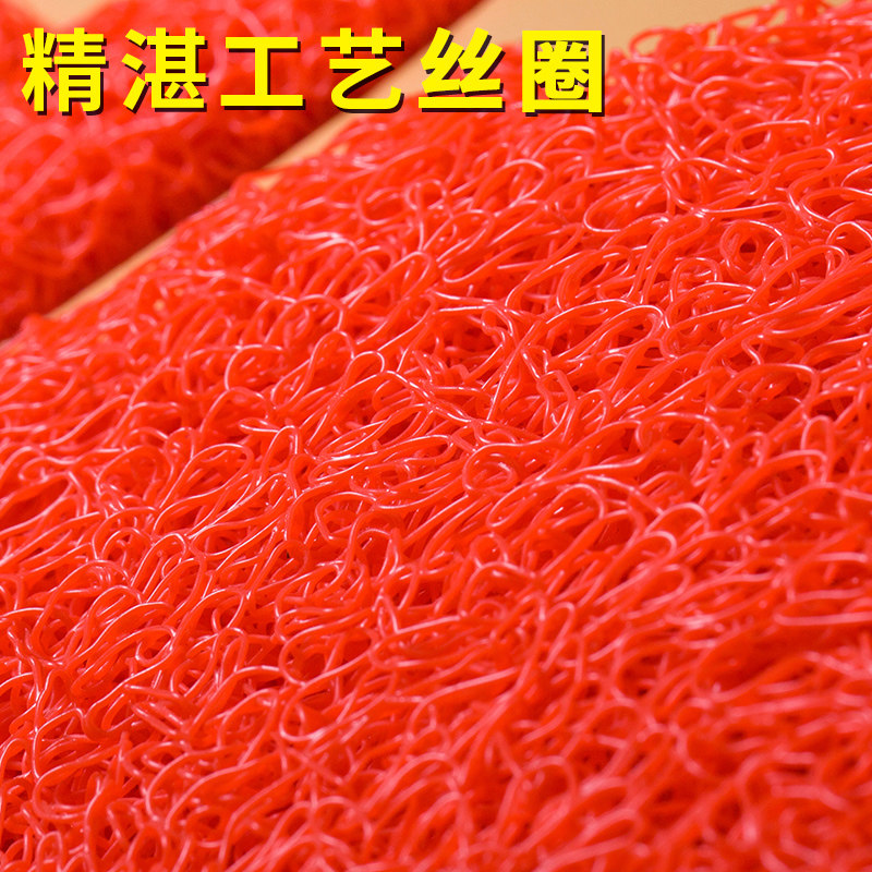 欢迎光临地垫防滑塑料丝圈家用迎宾地毯客厅门垫进门入户脚踏垫子