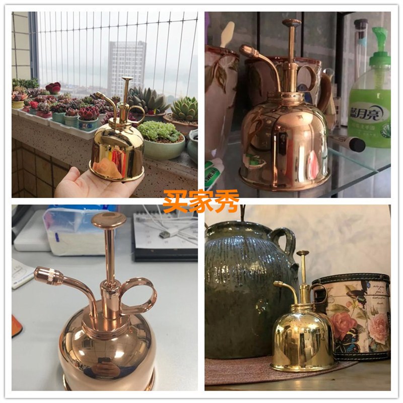 浇花喷壶 家用室内淋花复古黄铜金色小型迷你园艺北欧多肉喷水壶
