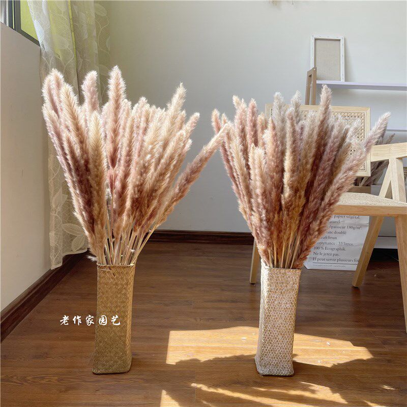 天然紫色干花真花小蒲苇民宿家居北欧风装饰花篮客厅花落地摆件