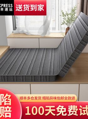 床垫家用卧室硬垫定制尺寸可折叠定做榻榻米垫子儿童椰棕垫订做