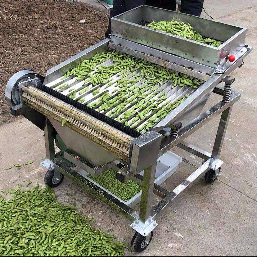 全自动毛豆剥皮机剥壳器剥豆器拨仁机机蚕米豆新款商用去剥皮机机