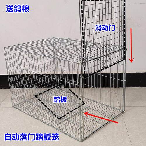 自动天落笼祇进不出鸽子笼户外捕捉养殖笼防锈收纳笼收猫笼收鸡笼