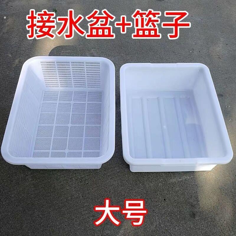 乌龟饲养盆粪便分离双层隔离发色盒生态养殖育苗箱懒人一秒换水缸