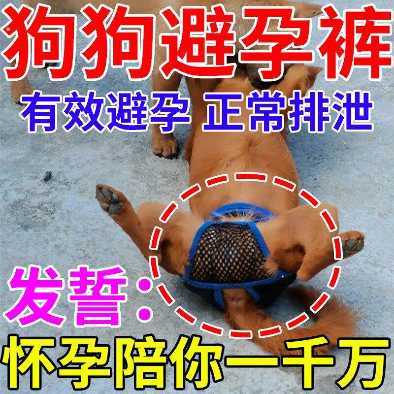 狗狗避孕裤母狗防交配神器狗发裤防交配裤生理裤可排泄裤情防骚扰