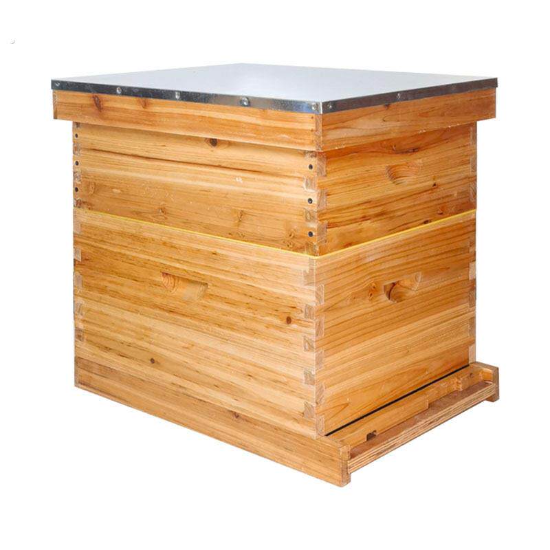 朗氏蜂箱意蜂跨境蜜蜂箱全套养蜂工具标准十框蜜蜂养殖蜂巢箱