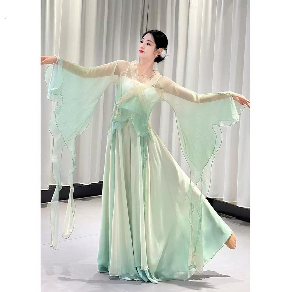 半壶纱舞蹈服女式飘逸古典舞演出服身韵纱衣蝴蝶中国舞网纱艺考服