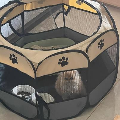 八角宠物围栏室内家用防护栏猫窝封闭式产房生产箱折叠式狗狗帐篷