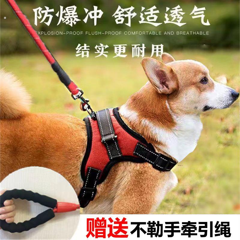 狗狗牵引绳背心式胸背带中型大型犬遛狗遛狗牵引绳狗链狗绳