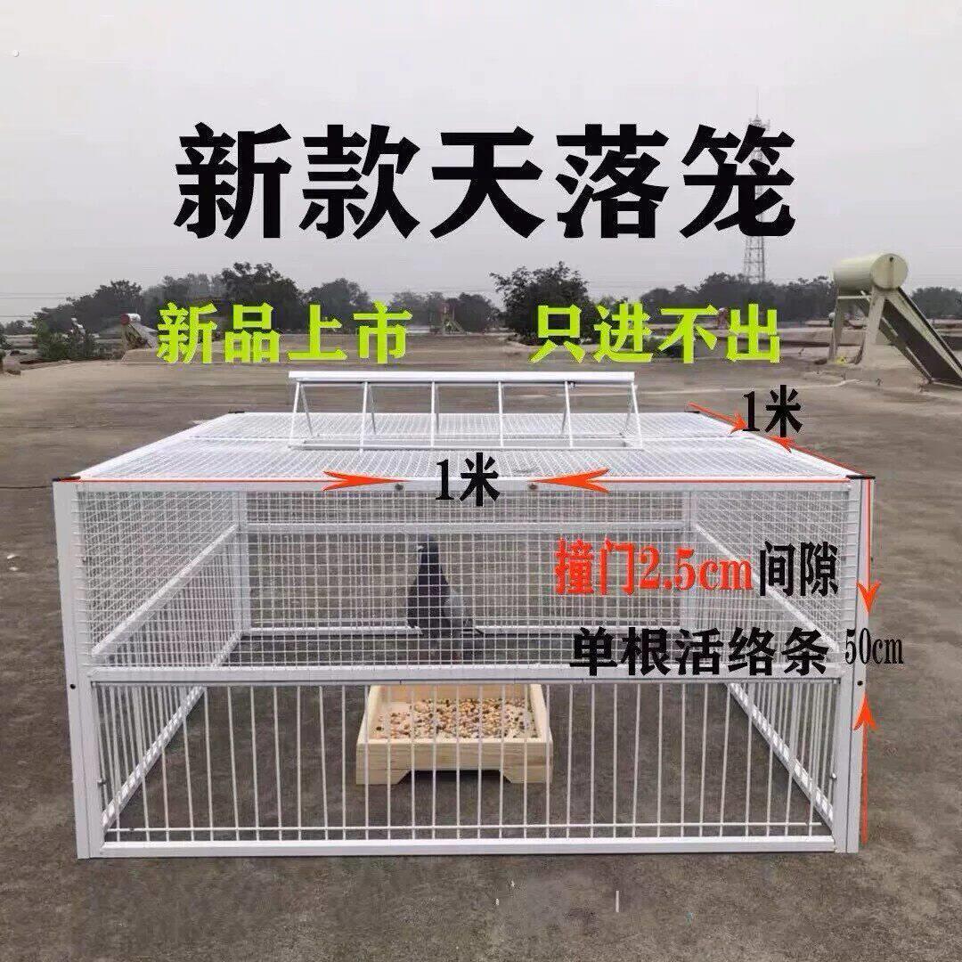 鸽子诱捕器天落笼只进不出鸽子笼加密收鸽笼活络门户外自动收鸽器