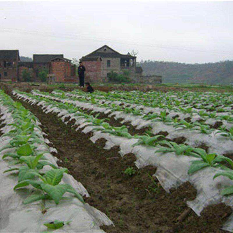 农用地膜薄膜纸白膜地摸塑料溥膜加厚种植白色透明种菜地膜一次性