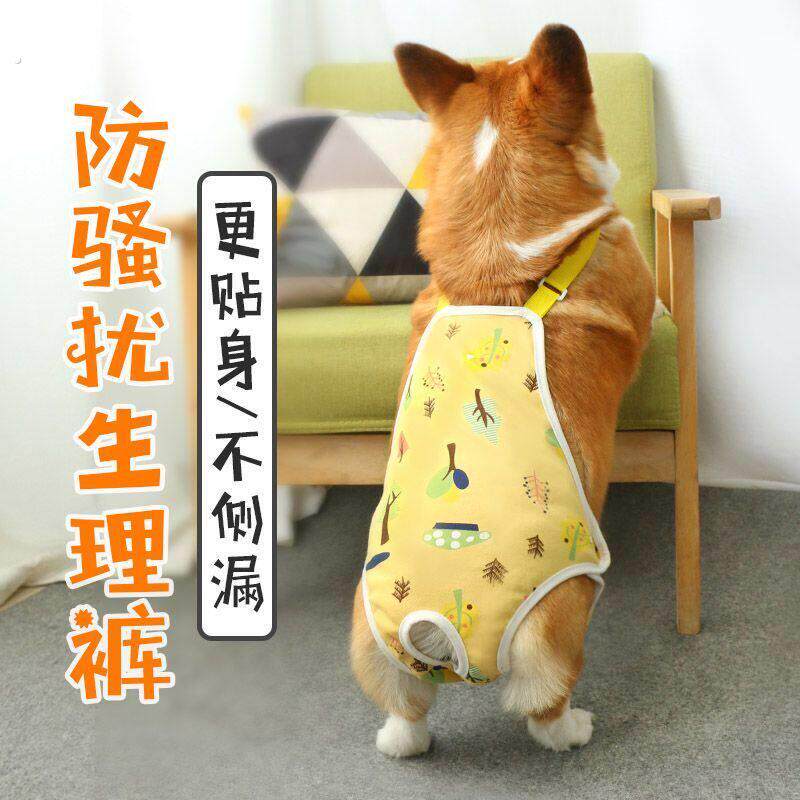 狗狗避育裤狗狗连体生理裤宠物生理期安全裤防骚扰母狗女狗专用姨