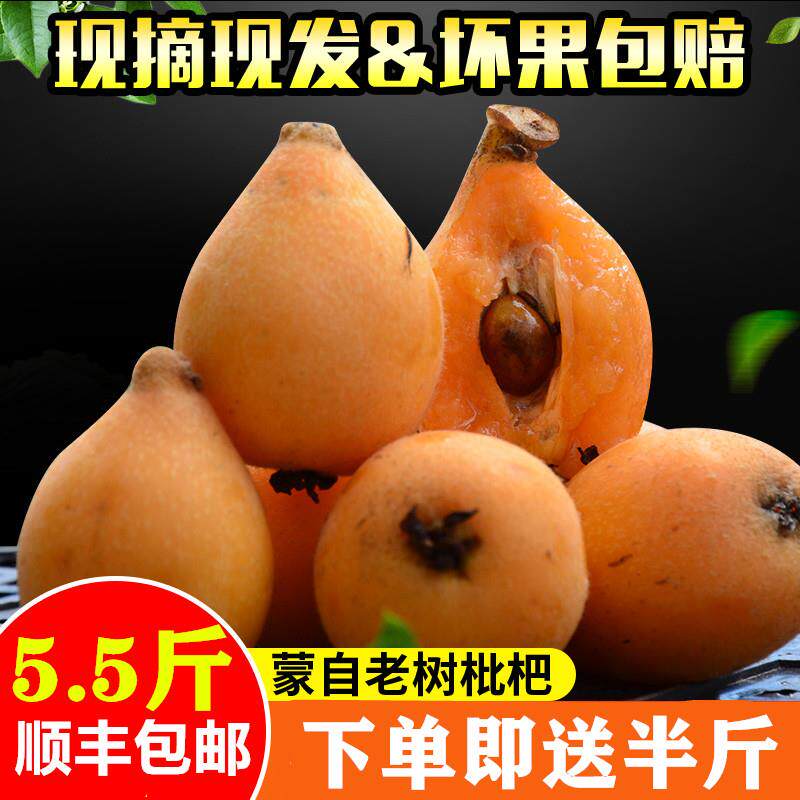 送半斤 现摘云南蒙自甜枇杷 新鲜水果汁多味甜琵琶果高原枇杷顺丰