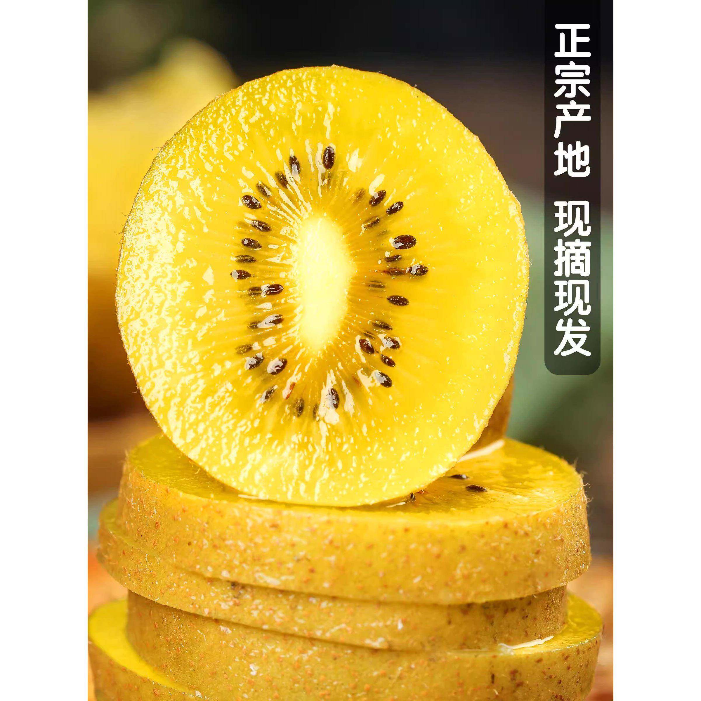 黄心猕猴桃金果奇异果金桃金艳新鲜水果儿童孕妇弥泥猴包邮
