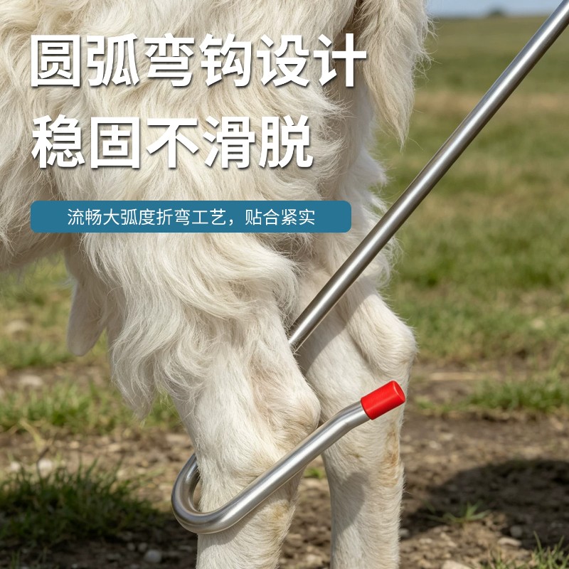 抓羊钩捉羊钢钩逮羊钩捉羊钩子钩羊腿蹄子钩抓羊工具捉羊勾子图片